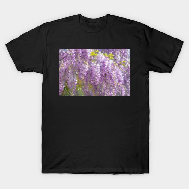 Wisteria in Bloom T-Shirt by AlexMir